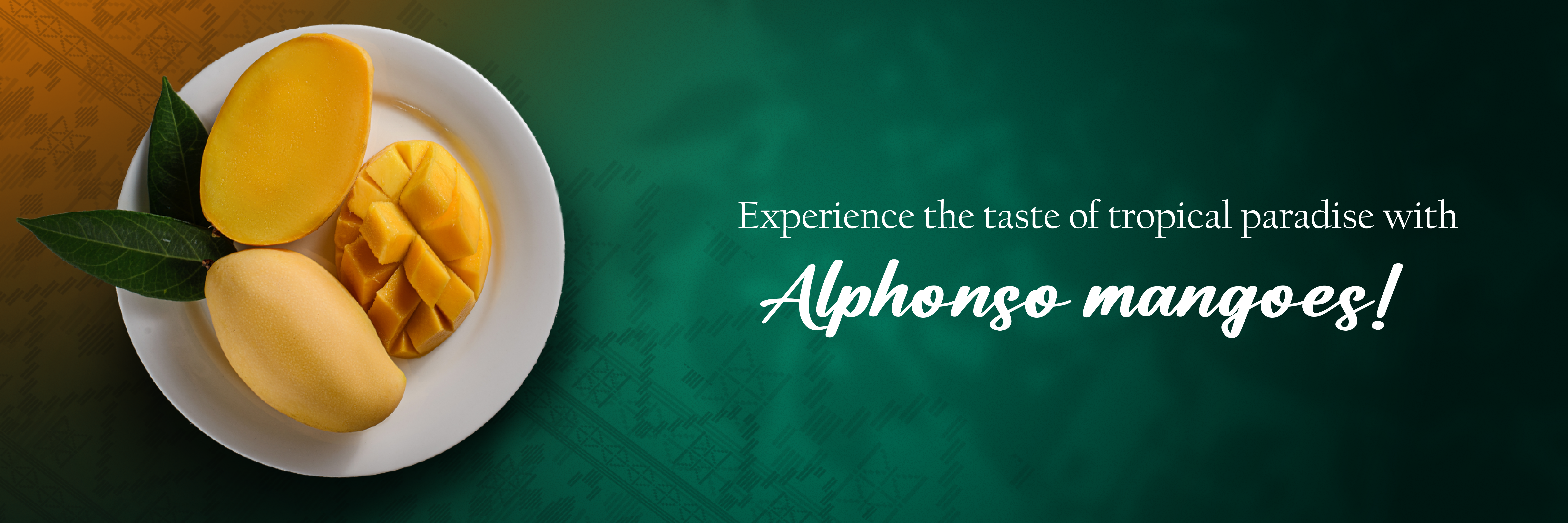 Alphonso.Without button-01