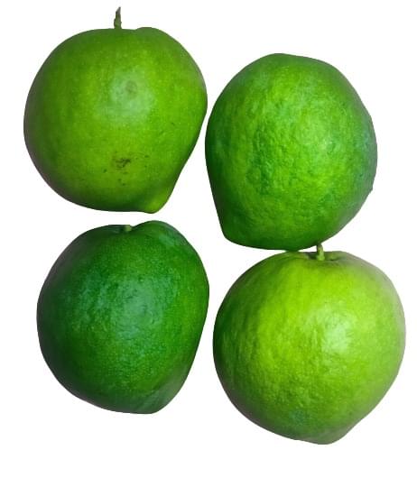 Jahagir Pasand Mango (1Kg Box) | Naturally Ripened and Carbide Free