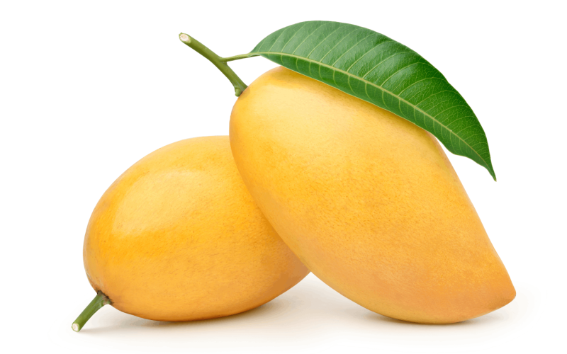 fresh-mangoes